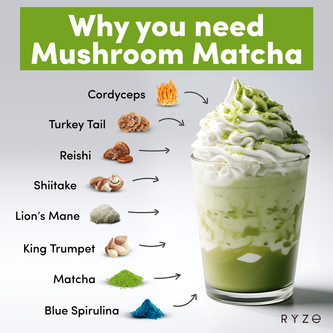 RYZE RYZE Organic Mushroom Matcha Starter Kit (60 servings)